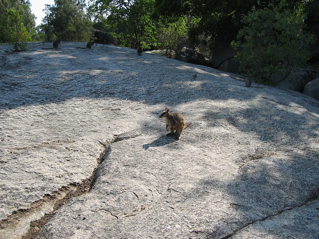 079 Granite Gorge.jpg